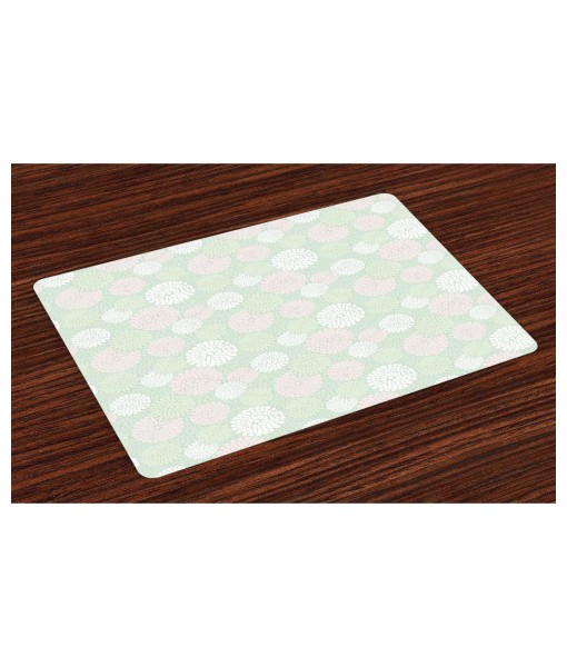 Mint Place Mats  Set of 4