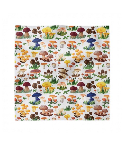 Mushroom Set of 4 Napkins  12