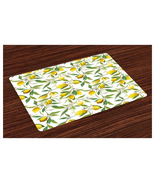 Natural Elements Placemats - Set of 4