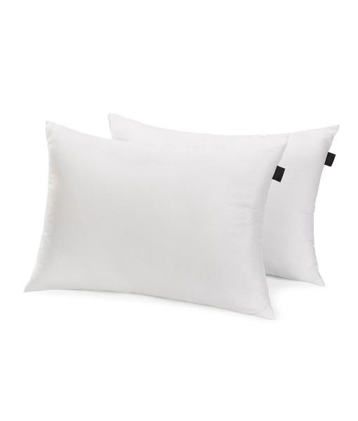 Home Embossed Ocean Waves 2 Pack Pillows  Standard