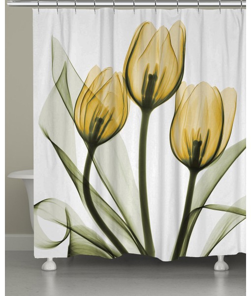 Golden Tulips Shower Curtain