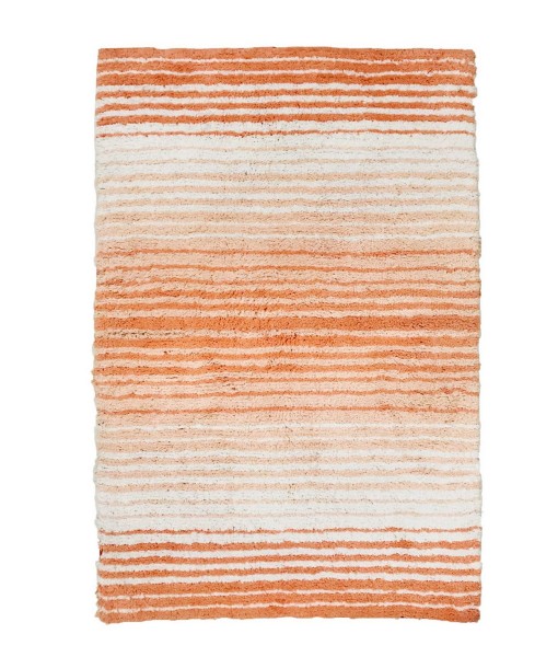 Gradiation Bath Rug 24