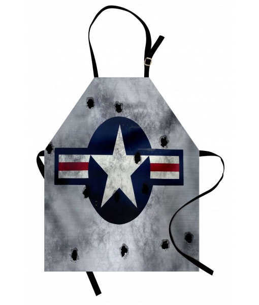 Aviation Enthusiast Apron